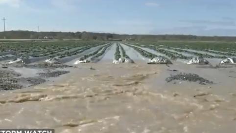 California Farms: Billions in Food Lost in Floods in State that Produces Half of America’s Agriculture